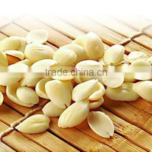 High Quality Frozen Dried Almond Powder / Defatted Almond Flour / Desiccated Super-quality Almond Flour for Body Immune thumbnail-1