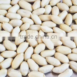 Peanut Kernels & Blanched Peanut Kernels thumbnail-2