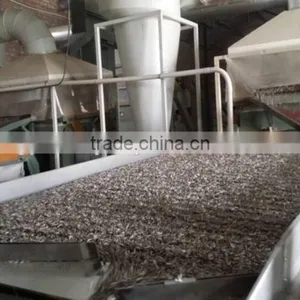 Chinese High Quality Healthy Low Price Sunflower Seeds From Supplier or Manufacturer thumbnail-3