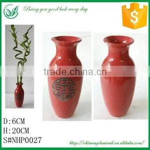 Sprial or Straight Lucky Bamboo Ceramic Flower Pot thumbnail-1