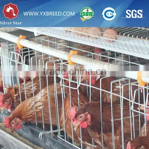 Poultry Battery Cages for Sale thumbnail-1