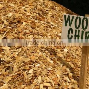 ACACIA, EUCALYPTUS WOOD CHIP FOR PAYPER AND PULP FROM VIET NAM thumbnail-5