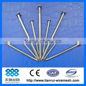 Widely Used Hardware Common Iron Nails(factory) thumbnail-1