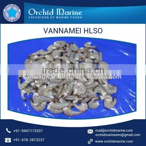 Good Quality Vannamei HLSO Shrimps Exporter thumbnail-5