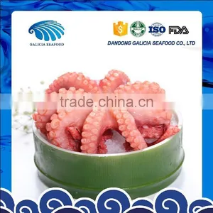Frozen Gutted Octopus thumbnail-1