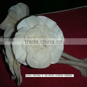 Sola Wood Protea thumbnail-1