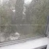Window Screening thumbnail-3