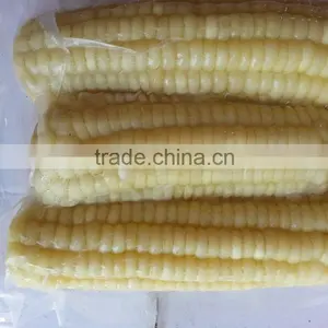 Best Price Frozen White Sweet Corn From Vietnam thumbnail-1