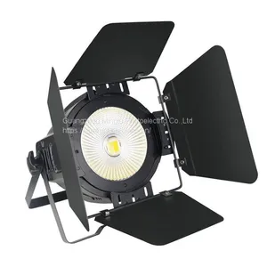 200W COB Par Light thumbnail-2