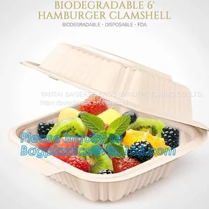 Compartment Hinged Container Sugarcane Bassage Pulp Food Serving Box 750ml Bassage Take Out Container Bagplastics Packa thumbnail-1