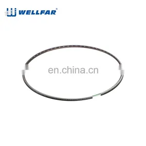 Wellfar 3116 Repairment Piston Ring For Caterpillar 3116 Engine Parts thumbnail-4