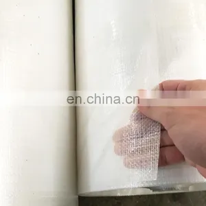 Transparent PE Tarpaulin UV Treatment Woven Fabric Film for Cherry Tree Protection Cover thumbnail-5