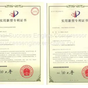 Patent