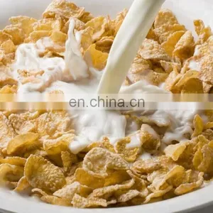 High Quality New Condition Small Scale Corn Flakes/Breakfast Cereal Making Machine thumbnail-1