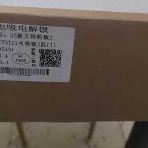 BYD Electric Suction Door thumbnail-4