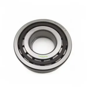 SBS Hydraulic Pump Spare Part Big Bearing for Replace CAT SBS140 Hydraulic Pump Bearing Pump Parts NUP310ET Z Parts No129-7927 thumbnail-2