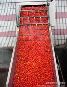 Tomato Paste Ketchup Pulping Making Machine/tomato Paste Production Line/tomato Sauce Processing Plant thumbnail-4