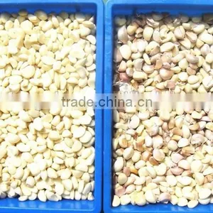 Multifunction Color Sorter thumbnail-4