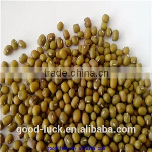 2011 New Crop Mung Bean thumbnail-3