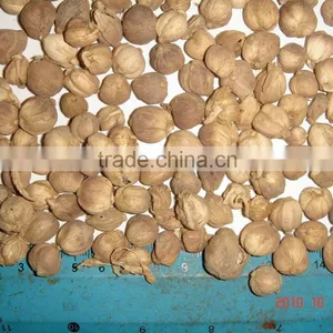 Cucurma, Cardamom, Dried Corn Hair, Vertiver Roots, and Herbs Material thumbnail-1