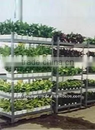Greenhouse Cart thumbnail-1