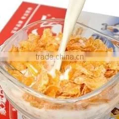 Cereals Corn Flakes Production Line thumbnail-6