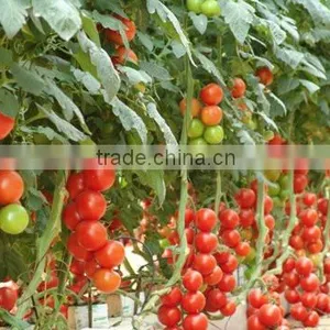 PVC Pipe List, Hose for Drip Irrigation and Hydroponic Systems thumbnail-2