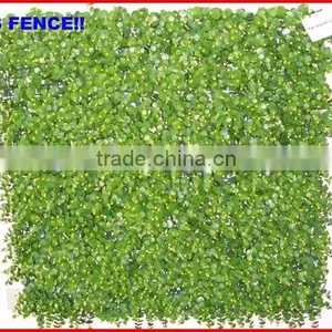 2013 China Fence Top 1 Trellis Hedge New Material Yard Fencing thumbnail-1