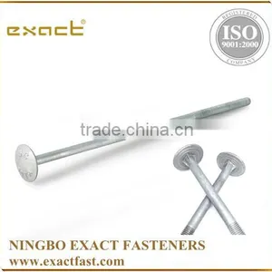 Manufacturer Supply Carbon Steel A307 Standard Grade 2 Hot Dipped Galvanized Timber Bolt/round Head Mushroom Bolt thumbnail-5