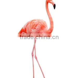 Hot Sell Living Room Pink Flamingo Animal Stretched Canvas Printing thumbnail-4