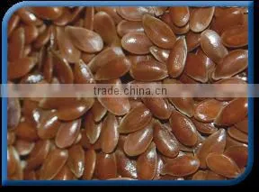 Flaxseed thumbnail-1