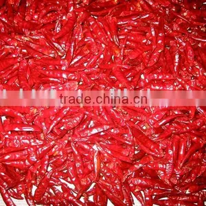 New Crop New Generation Small Chilli W/o Stem thumbnail-1