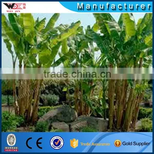 High Quality Fiber Sisal Decorticator Machine thumbnail-4