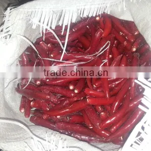 FRESH CHILI thumbnail-3