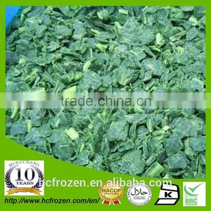 China High Quality IQF Frozen Spinach Chopped thumbnail-1