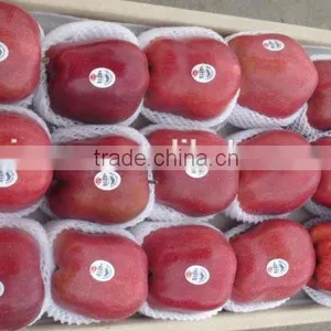 New Crop Red Delicious Apple 18kg Ctn thumbnail-2