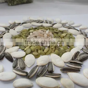 High Quality Grade A Pumpkin Seeds thumbnail-2