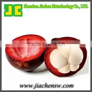 Natural Mangosteen Extract Powder thumbnail-1