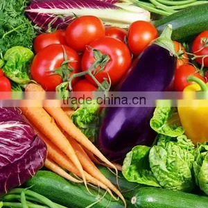Industrial Automatic Vegetable Washing Machine With Ozone Sterilization Function thumbnail-6