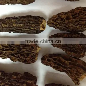 Cultivated Morel Mushroom/dried Morel/black Morchella Conica thumbnail-4
