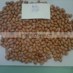 Peanut Kernal thumbnail-4