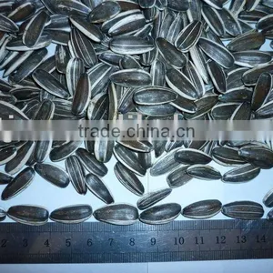 Organic Sunflower Seeds 20/64,22/64,24/64 thumbnail-1