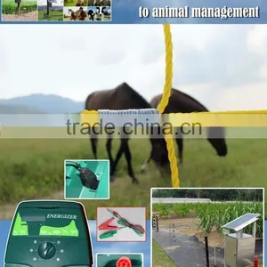 Th-Polar Agricultural Equipment Electric Fense for Sheep/goat/horse/chicken/deer thumbnail-1