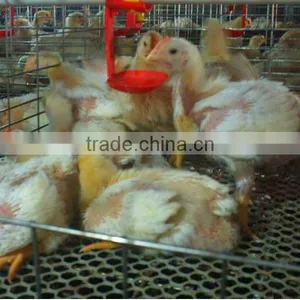 TAIYU-102 Breeding Broiler Cage thumbnail-1
