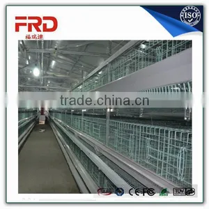 Trade Assurance 100% Payment Guarantee Factory Good Quality Poultry Battery Cage for Nigerian Farm thumbnail-1