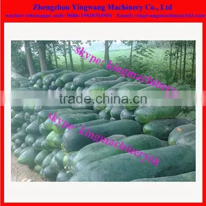 Wax Melon Skin Removing Machine 0086-15938761901 thumbnail-3