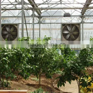 POULTRY AIR CIRCULATION FAN thumbnail-2