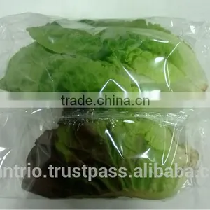 Automatic Fresh Vegetable, Whole Salad Packing Machine. thumbnail-3