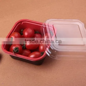 Red Square Plastic Fruit Packaging Food Box With Clear Lid thumbnail-4