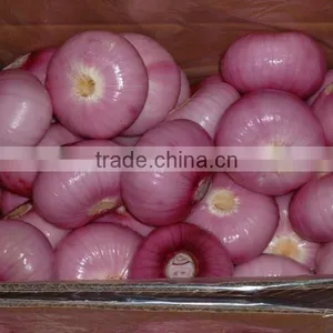 Onion Multiple Layer Continuous Type Mesh Belt Dryer thumbnail-6